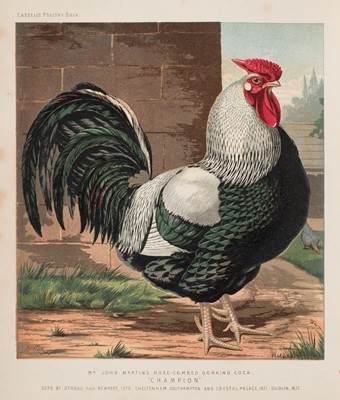 Lot 112 - Wright (Lewis). The Illustrated Book of Poultry, London: Cassell, Petter & Galpin, 1880