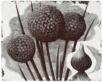 Lot 260 - Mackley (George, 1900-1983). Onions, 1963