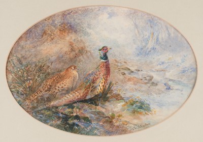 Lot 206 - Stinton (James, 1870-1961). Pair of pheasants in a landscape, & Howitt, Partridges, watercolours