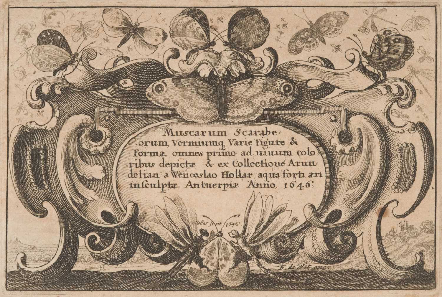Lot 37 - Hollar (Wenceslaus, 1607-1677). Muscarum Scarabeorum Vermiumq..., complete set