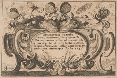 Lot 37 - Hollar (Wenceslaus, 1607-1677). Muscarum Scarabeorum Vermiumq..., complete set