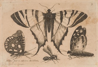 Lot 37 - Hollar (Wenceslaus, 1607-1677). Muscarum Scarabeorum Vermiumq..., complete set