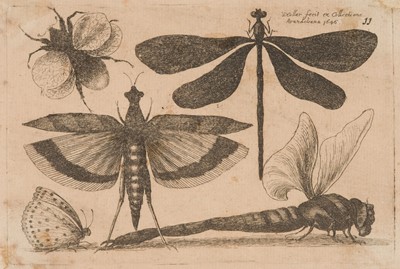 Lot 37 - Hollar (Wenceslaus, 1607-1677). Muscarum Scarabeorum Vermiumq..., complete set