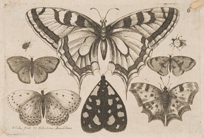 Lot 37 - Hollar (Wenceslaus, 1607-1677). Muscarum Scarabeorum Vermiumq..., complete set