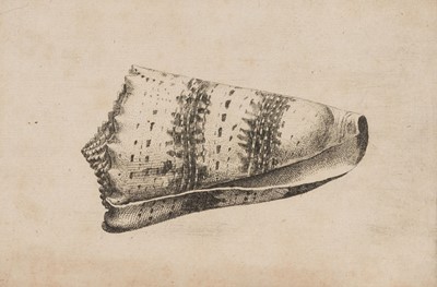 Lot 38 - Hollar (Wenceslaus, 1607-1677). Conus imperialis, Anostoma ringens, circa 1646.., and others