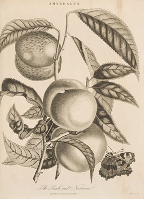 Lot 320 - Wilkes (John, editor). Encyclopaedia Londinensis, 24 volumes, 1810-29