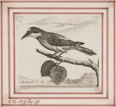Lot 41 - Hollar (Wenceslaus, 1607-1677). The Dead Hare, after Peeter Boel, 1649..., and others