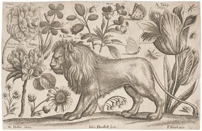 Lot 41 - Hollar (Wenceslaus, 1607-1677). The Dead Hare, after Peeter Boel, 1649..., and others