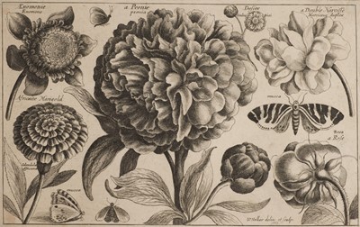 Lot 16 - Hollar (Wenceslaus, 1607-1677). A Peony, from Animalium Ferarum, 1663..., and others