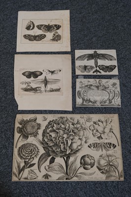Lot 16 - Hollar (Wenceslaus, 1607-1677). A Peony, from Animalium Ferarum, 1663..., and others