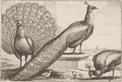 Lot 49 - Hollar (Wenceslaus, 1607-1677). Three Peacocks, Herons, Nine Ducks, circa 1654