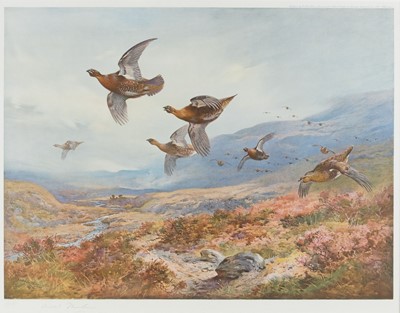 Lot 207 - Thorburn (Archibald). Grouse over the Moors, 1921