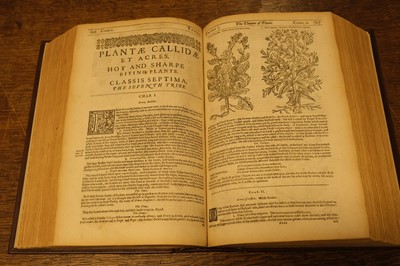 Lot 104 - Parkinson (John). Theatrum Botanicum: The Theater of Plants, London: Thomas Cotes, 1640