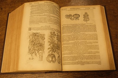 Lot 104 - Parkinson (John). Theatrum Botanicum: The Theater of Plants, London: Thomas Cotes, 1640
