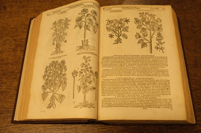 Lot 104 - Parkinson (John). Theatrum Botanicum: The Theater of Plants, London: Thomas Cotes, 1640
