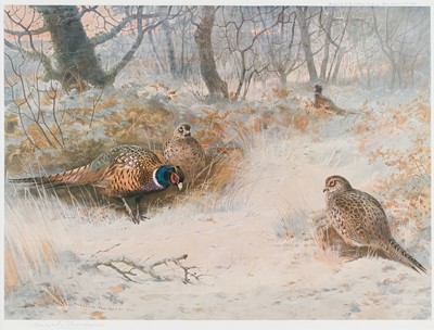 Lot 208 - Thorburn (Archibald). Woodland Pheasants, 1907