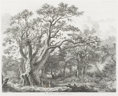 Lot 110 - Strutt (Jacob George). Sylva Britannica; or, Portraits of Forest Trees, 1826