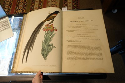 Lot 102 - Miller (John Frederick, and George Shaw). Cimelia Physica, 1796 [but circa 1816]