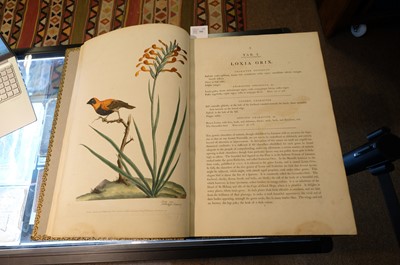 Lot 102 - Miller (John Frederick, and George Shaw). Cimelia Physica, 1796 [but circa 1816]