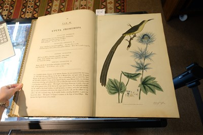 Lot 102 - Miller (John Frederick, and George Shaw). Cimelia Physica, 1796 [but circa 1816]