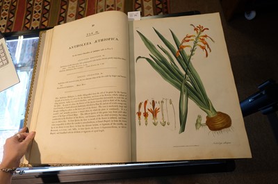Lot 102 - Miller (John Frederick, and George Shaw). Cimelia Physica, 1796 [but circa 1816]
