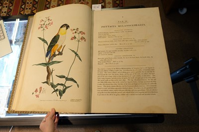 Lot 102 - Miller (John Frederick, and George Shaw). Cimelia Physica, 1796 [but circa 1816]