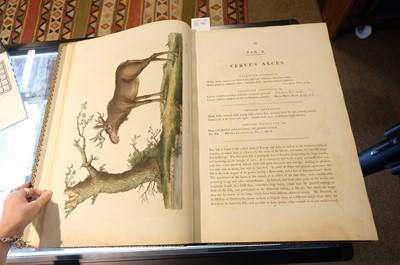 Lot 102 - Miller (John Frederick, and George Shaw). Cimelia Physica, 1796 [but circa 1816]