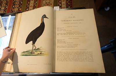 Lot 102 - Miller (John Frederick, and George Shaw). Cimelia Physica, 1796 [but circa 1816]