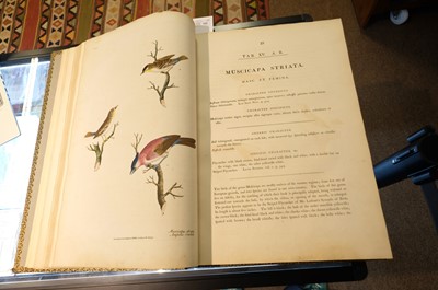 Lot 102 - Miller (John Frederick, and George Shaw). Cimelia Physica, 1796 [but circa 1816]