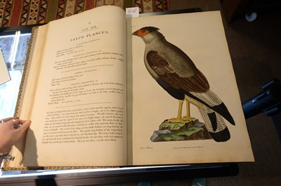 Lot 102 - Miller (John Frederick, and George Shaw). Cimelia Physica, 1796 [but circa 1816]