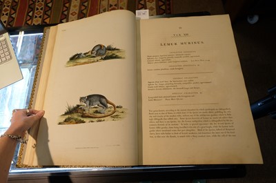 Lot 102 - Miller (John Frederick, and George Shaw). Cimelia Physica, 1796 [but circa 1816]
