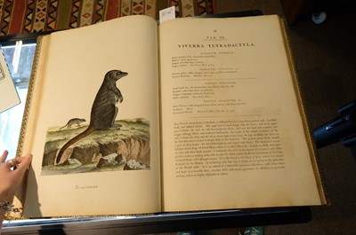 Lot 102 - Miller (John Frederick, and George Shaw). Cimelia Physica, 1796 [but circa 1816]