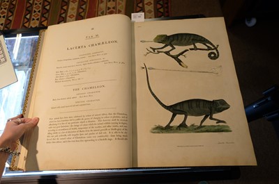 Lot 102 - Miller (John Frederick, and George Shaw). Cimelia Physica, 1796 [but circa 1816]