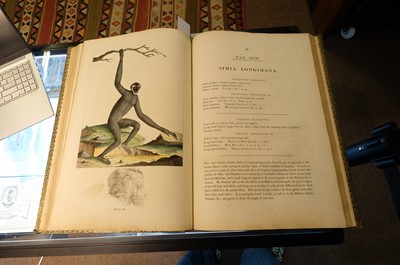 Lot 102 - Miller (John Frederick, and George Shaw). Cimelia Physica, 1796 [but circa 1816]