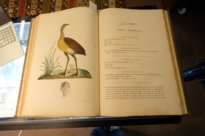 Lot 102 - Miller (John Frederick, and George Shaw). Cimelia Physica, 1796 [but circa 1816]