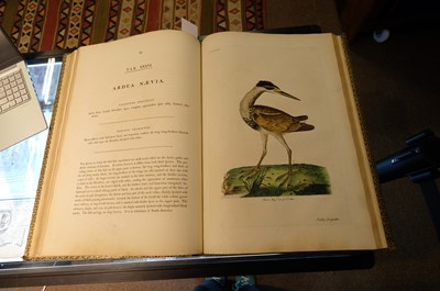 Lot 102 - Miller (John Frederick, and George Shaw). Cimelia Physica, 1796 [but circa 1816]