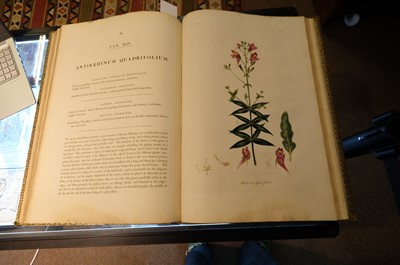 Lot 102 - Miller (John Frederick, and George Shaw). Cimelia Physica, 1796 [but circa 1816]