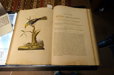 Lot 102 - Miller (John Frederick, and George Shaw). Cimelia Physica, 1796 [but circa 1816]