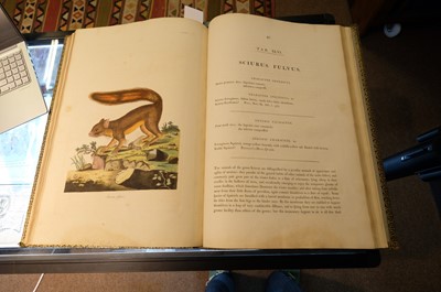 Lot 102 - Miller (John Frederick, and George Shaw). Cimelia Physica, 1796 [but circa 1816]