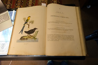 Lot 102 - Miller (John Frederick, and George Shaw). Cimelia Physica, 1796 [but circa 1816]