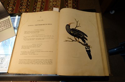 Lot 102 - Miller (John Frederick, and George Shaw). Cimelia Physica, 1796 [but circa 1816]