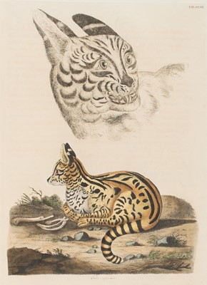 Lot 102 - Miller (John Frederick, and George Shaw). Cimelia Physica, 1796 [but circa 1816]