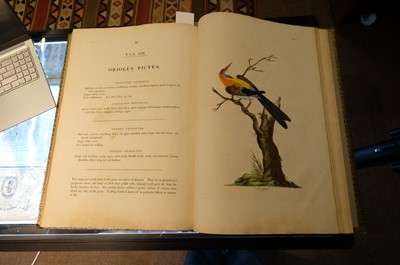 Lot 102 - Miller (John Frederick, and George Shaw). Cimelia Physica, 1796 [but circa 1816]