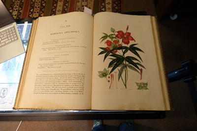 Lot 102 - Miller (John Frederick, and George Shaw). Cimelia Physica, 1796 [but circa 1816]