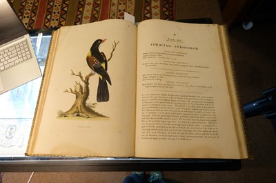 Lot 102 - Miller (John Frederick, and George Shaw). Cimelia Physica, 1796 [but circa 1816]