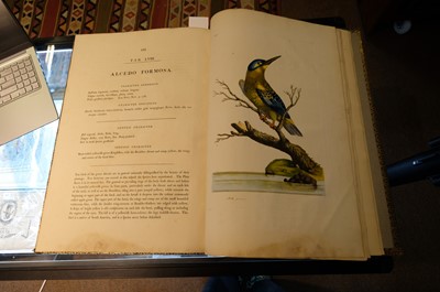 Lot 102 - Miller (John Frederick, and George Shaw). Cimelia Physica, 1796 [but circa 1816]