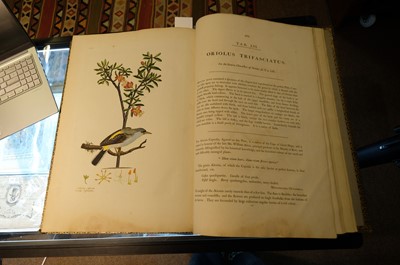 Lot 102 - Miller (John Frederick, and George Shaw). Cimelia Physica, 1796 [but circa 1816]