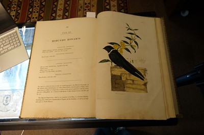 Lot 102 - Miller (John Frederick, and George Shaw). Cimelia Physica, 1796 [but circa 1816]