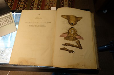 Lot 102 - Miller (John Frederick, and George Shaw). Cimelia Physica, 1796 [but circa 1816]