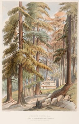 Lot 105 - Ravenscroft (Edward). Pinetum Britannicum, 1st edition, 1884
